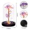 Birthday Gifts for Women,Mothers Day Flowers Gifts for Mom,Wife,Grandma,Mom Gifts for Her,Light Up Rose Flowers in Glass Dome,Colorful Rainbow Flower Rose Presents for Birthday,Anniversary,Valentines